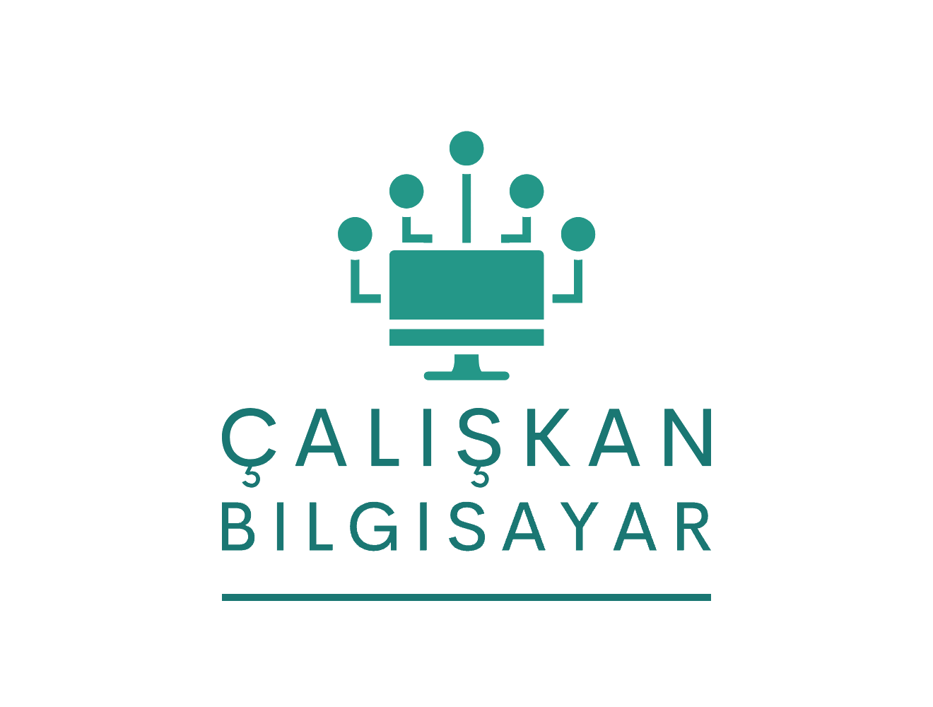 caliskanbilgisayar.com